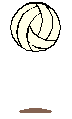 volleyball.gif (8057 bytes)